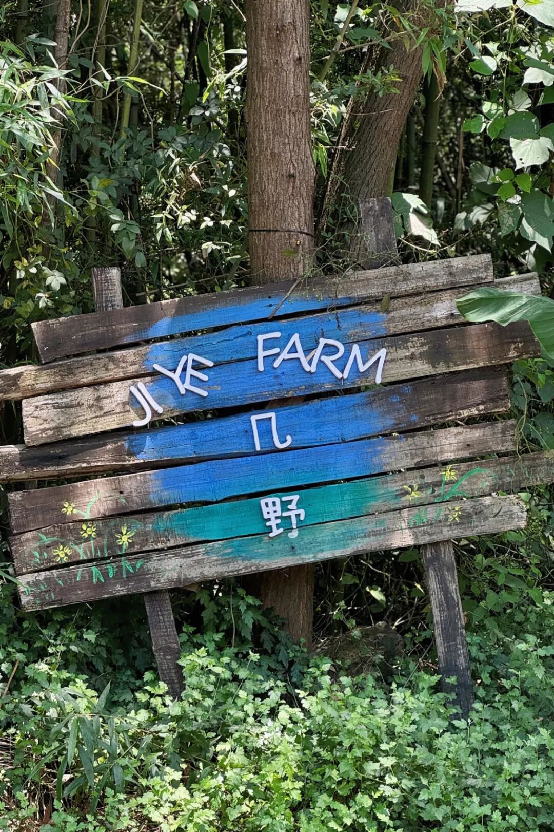 640.jpg